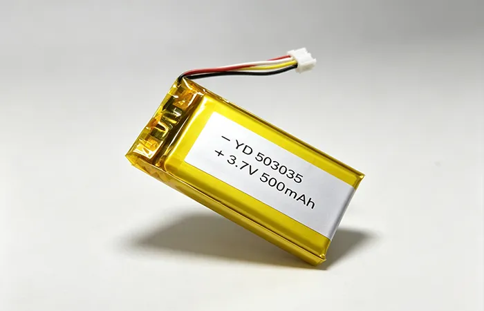 Lithium consumer battery product 2
